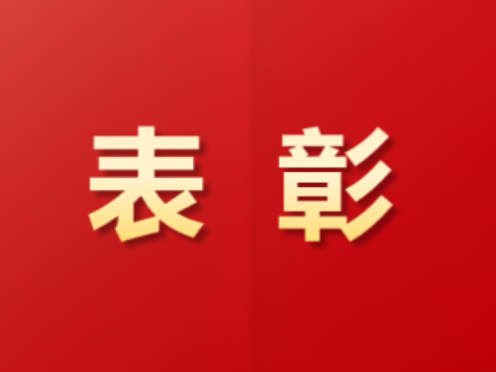祝賀！這些青年集體和個(gè)人榮獲中國(guó)物流表彰！